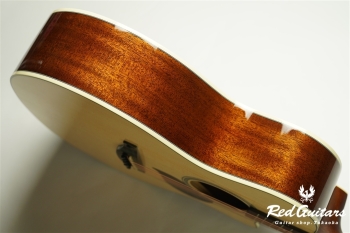 F120-GA Sitka Spruce / African Mahogany
